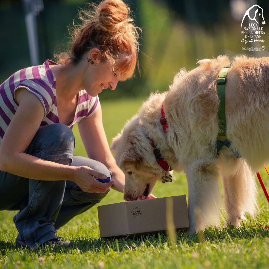 PROMOZIONE PER UN CORRETTO RAPPORTO UOMO-ALTRI ANIMALI