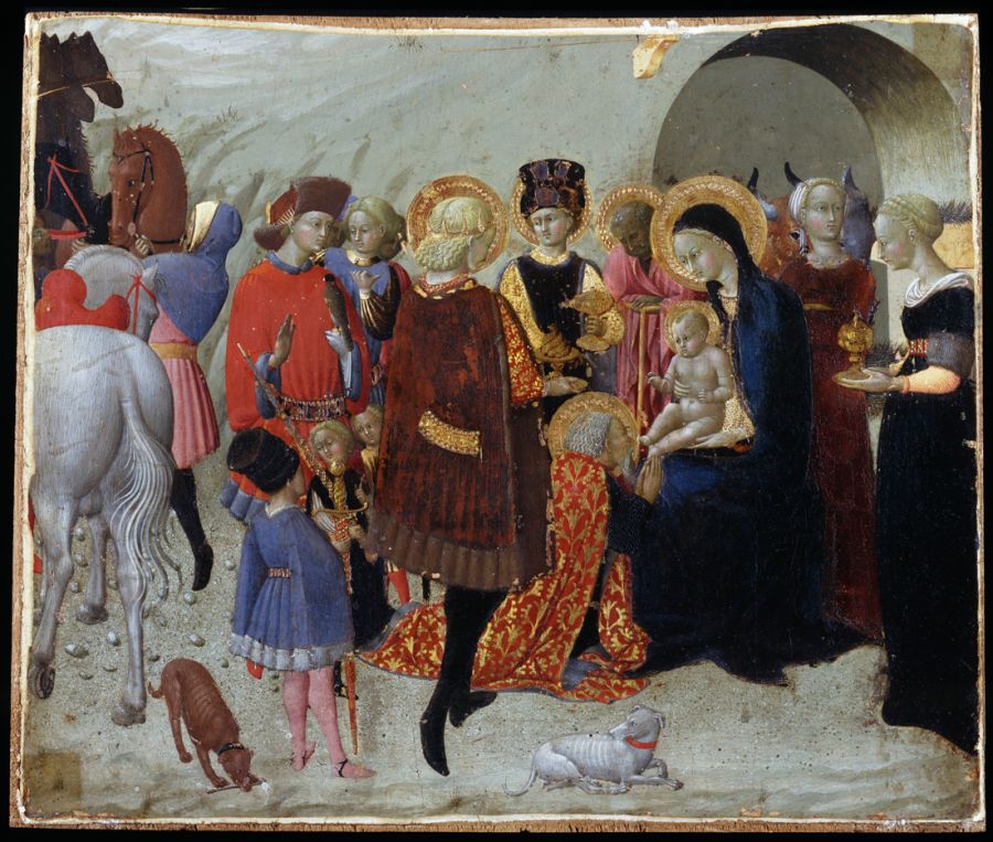 VISITARE IL PALAZZO E LE SUE COLLEZIONI
