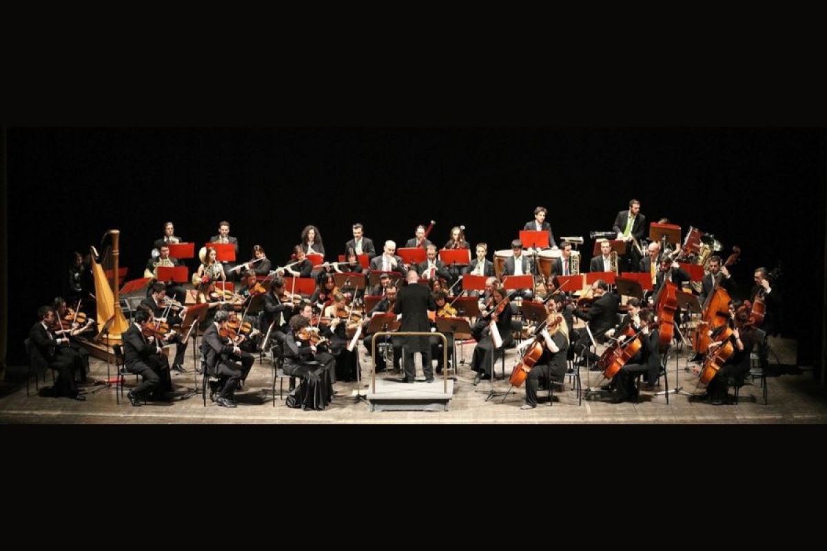 CRESCITA ARTISTICA E IMPRENDITORIALE DEI GIOVANI TALENTI DELL'AMADEUS ADRIATIC ORCHESTRA – AAO.