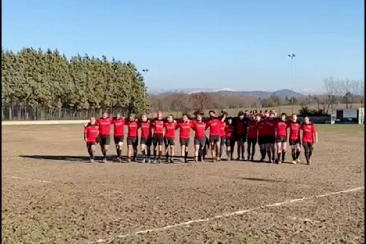 REDAZIONE VENJULIA