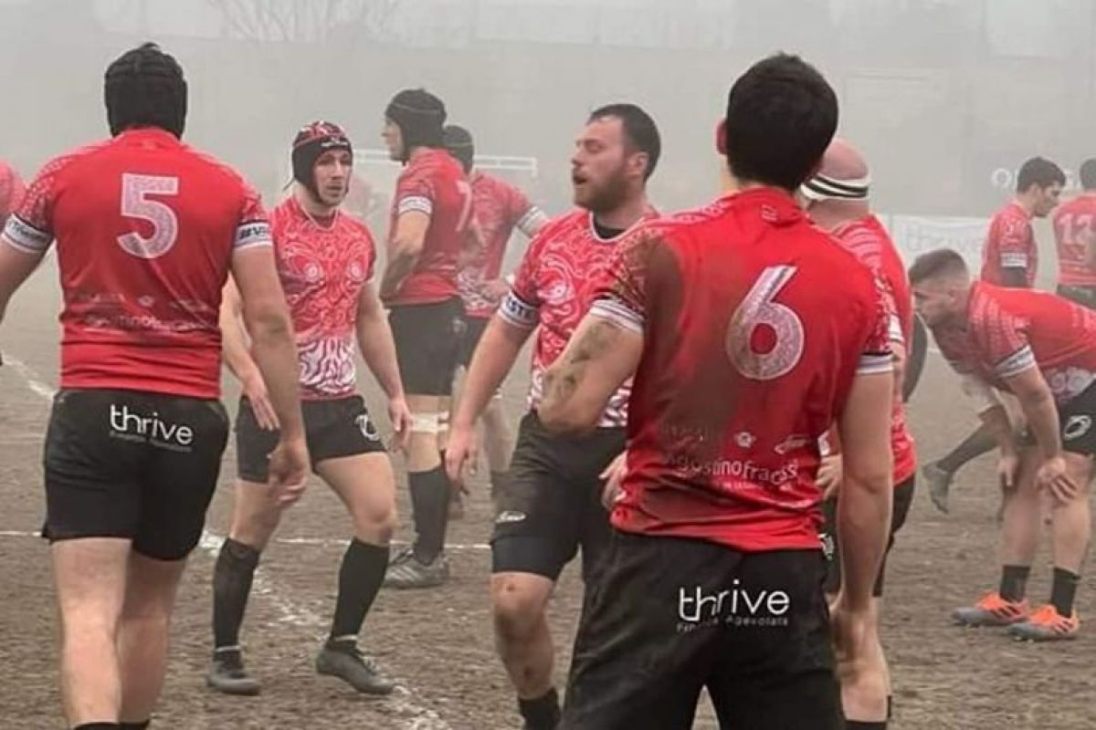 REDAZIONE VENJULIA 