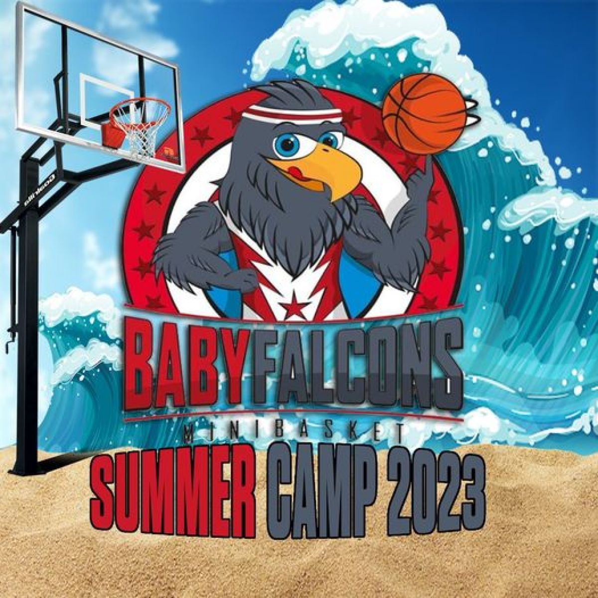 CI SIAMO! BABYFALCONS SUMMER CAMP!