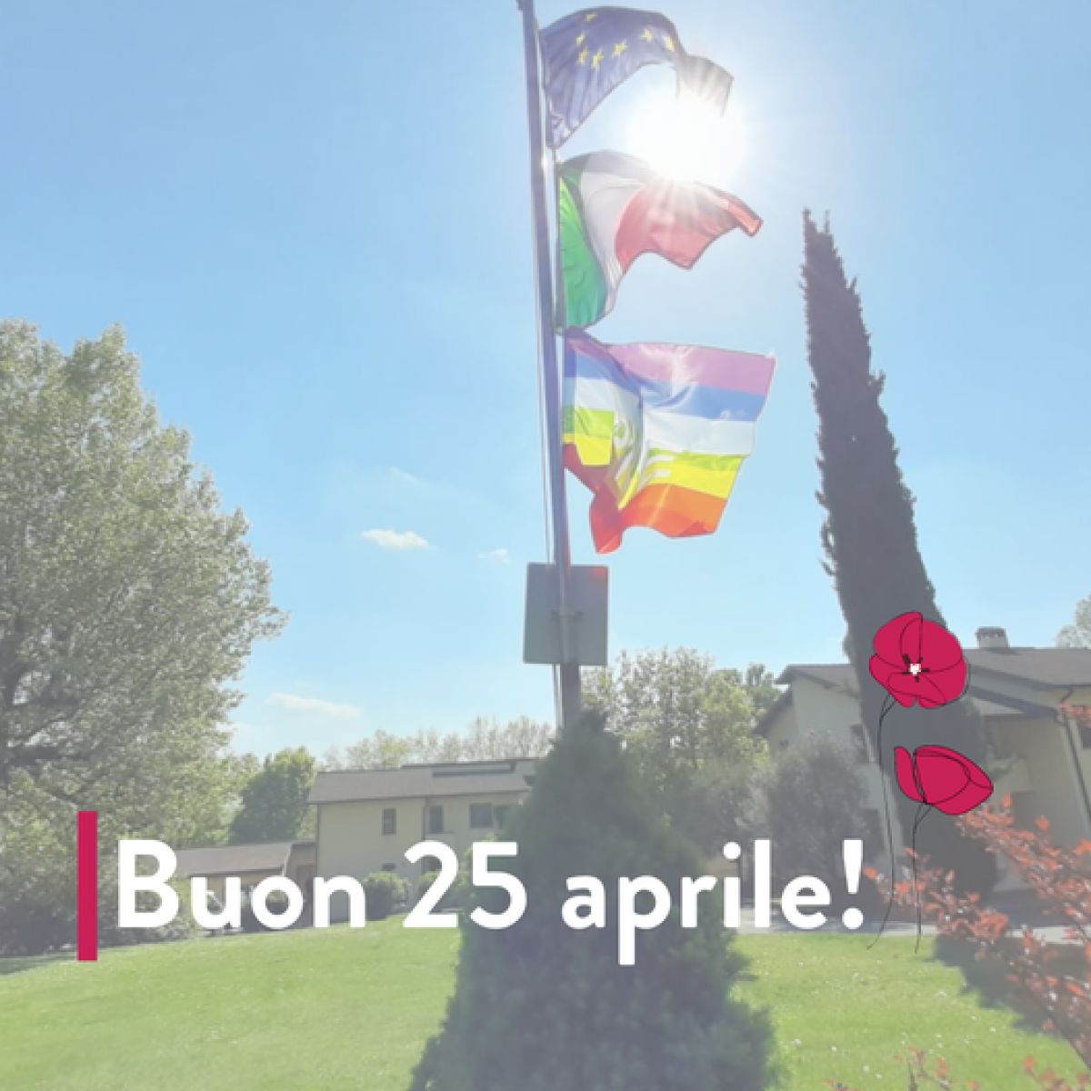 Viva la Libertà